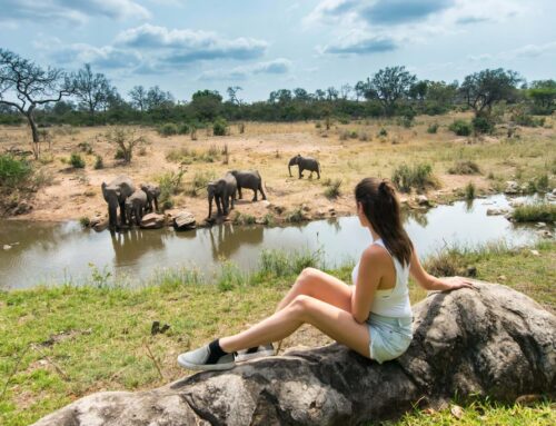 Travel seasons in Africa